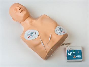 MANICHINO CPR PRACTI-MAN ADVANCE - immagine 4